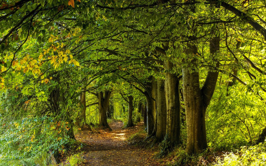 1754117 (a): :1920x1200